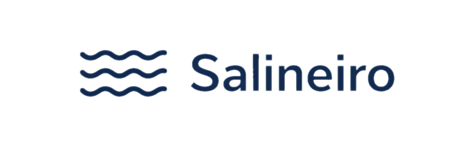 salineiro.com.br